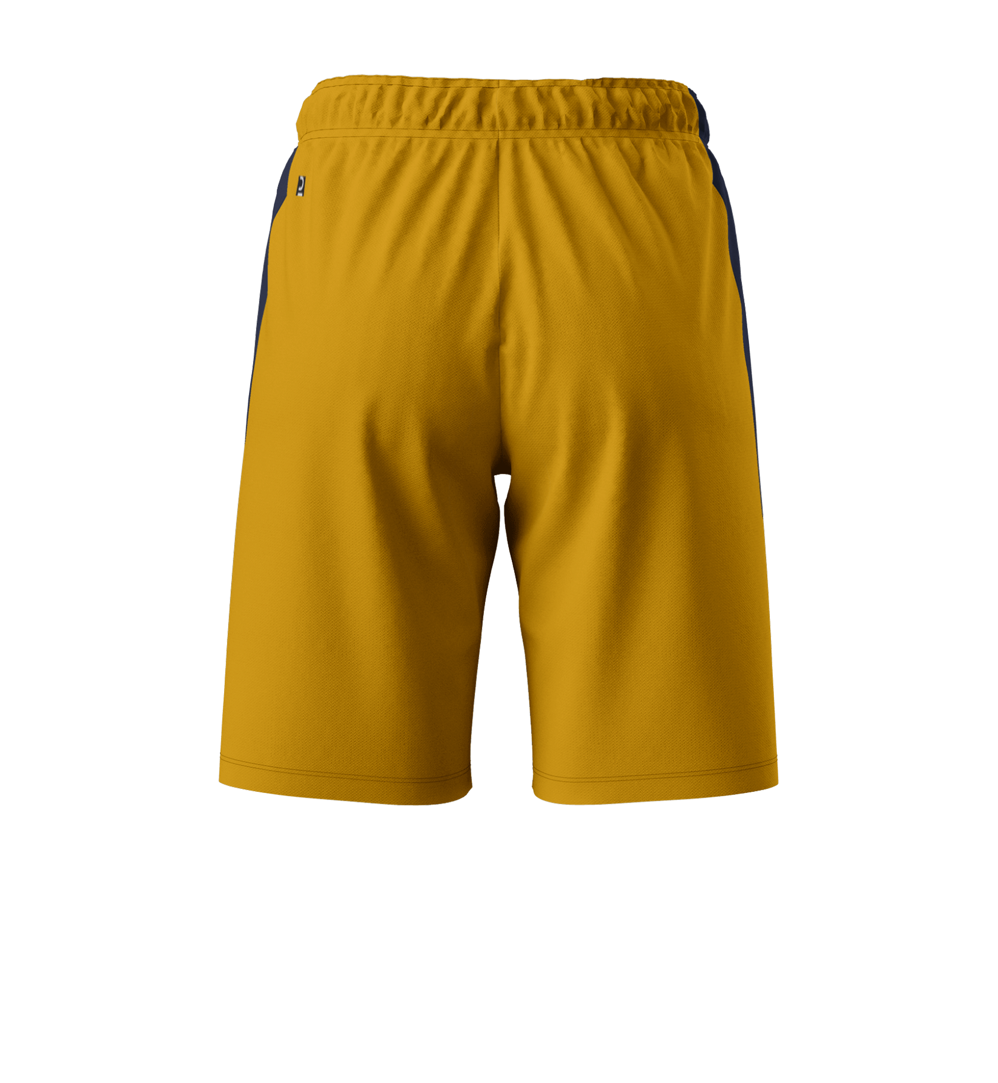 Short De Basket Femme SH100